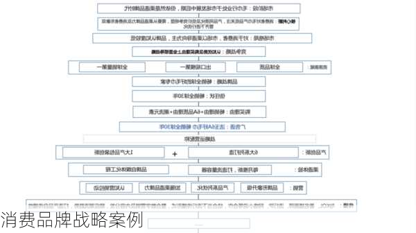 消费品牌战略案例