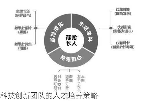 科技创新团队的人才培养策略