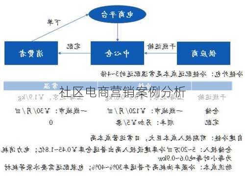 社区电商营销案例分析