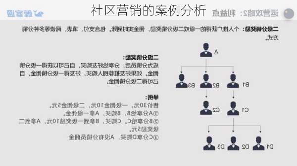 社区营销的案例分析