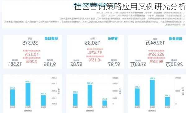 社区营销策略应用案例研究分析