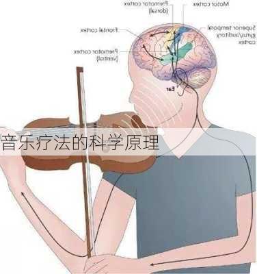 音乐疗法的科学原理