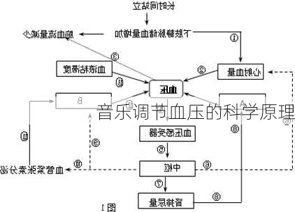 音乐调节血压的科学原理