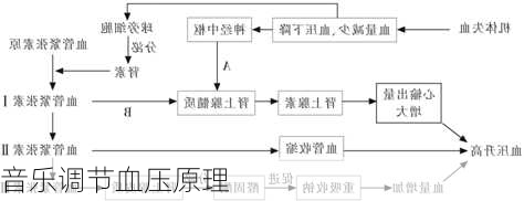 音乐调节血压原理