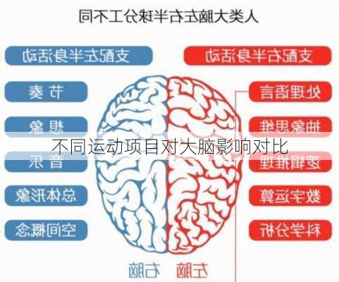 不同运动项目对大脑影响对比