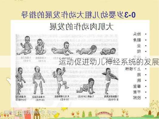 运动促进幼儿神经系统的发展