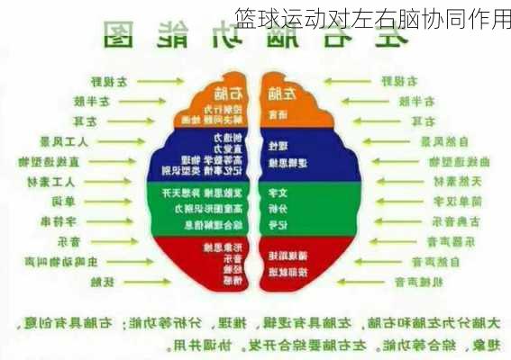 篮球运动对左右脑协同作用