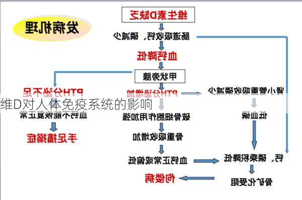 维D对人体免疫系统的影响