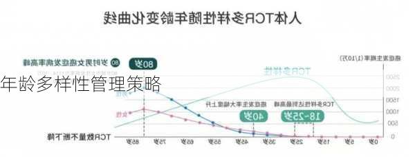 年龄多样性管理策略