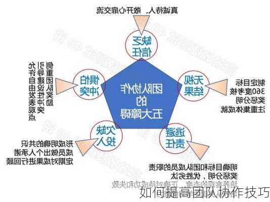 如何提高团队协作技巧