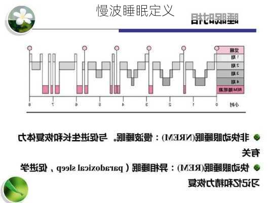 慢波睡眠定义