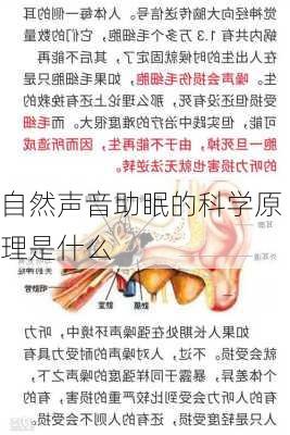 自然声音助眠的科学原理是什么