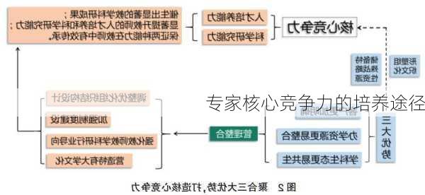 专家核心竞争力的培养途径