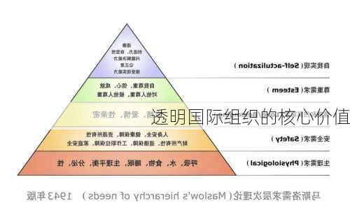 透明国际组织的核心价值