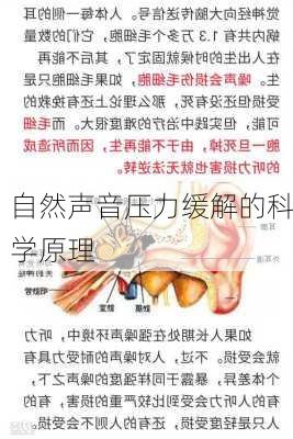 自然声音压力缓解的科学原理