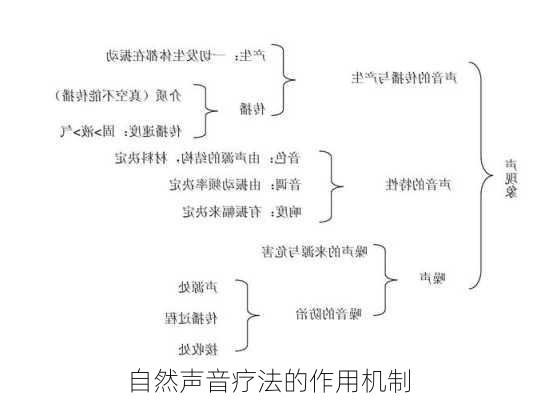 自然声音疗法的作用机制