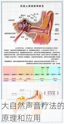 大自然声音疗法的原理和应用