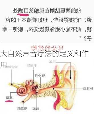 大自然声音疗法的定义和作用