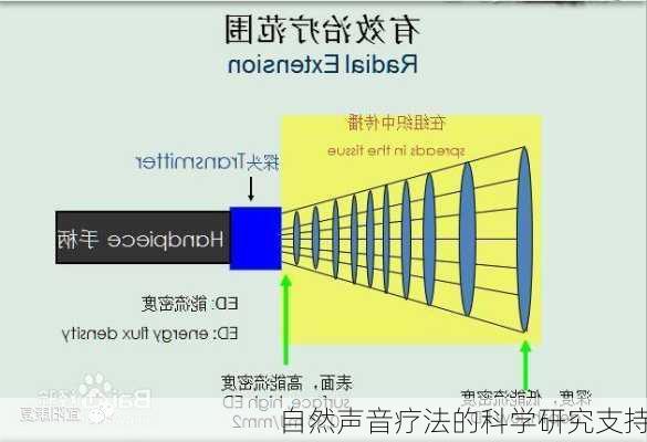 自然声音疗法的科学研究支持