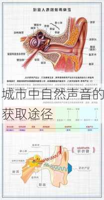 城市中自然声音的获取途径