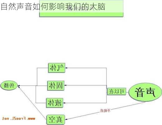 自然声音如何影响我们的大脑