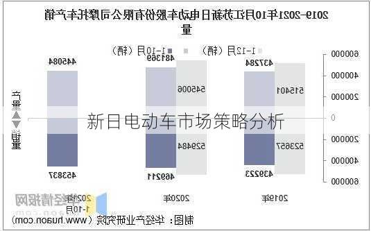 新日电动车市场策略分析