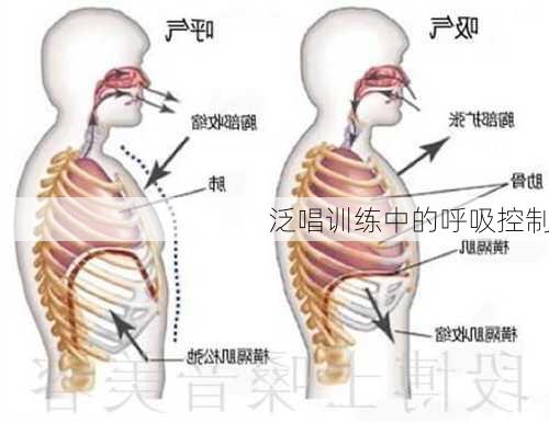 泛唱训练中的呼吸控制