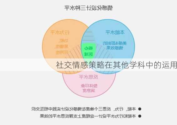 社交情感策略在其他学科中的运用