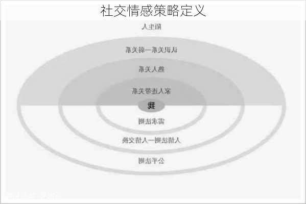 社交情感策略定义