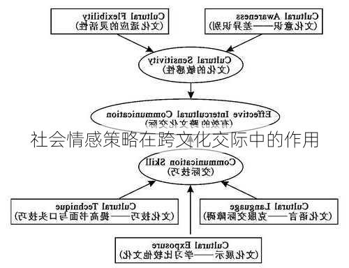 社会情感策略在跨文化交际中的作用