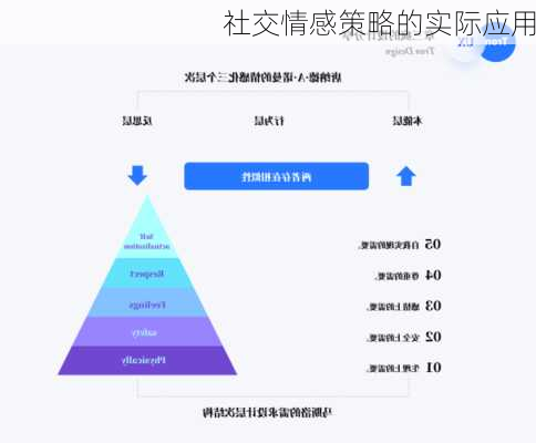 社交情感策略的实际应用