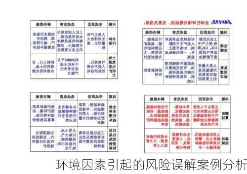 环境因素引起的风险误解案例分析