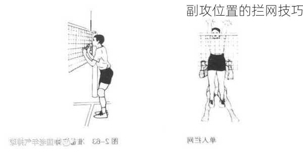副攻位置的拦网技巧