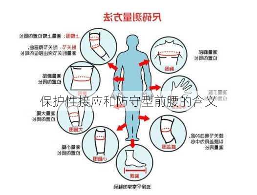 保护性接应和防守型前腰的含义