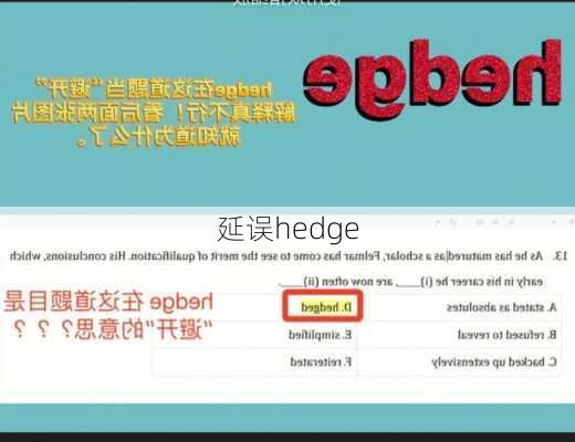 延误hedge