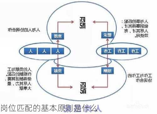 岗位匹配的基本原则是什么