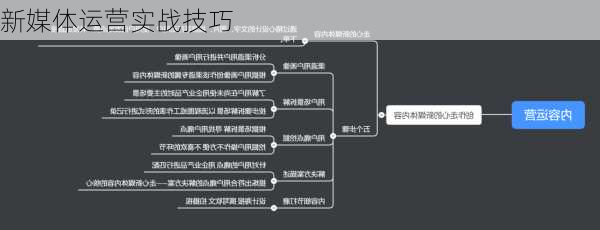 新媒体运营实战技巧