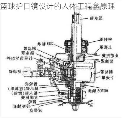 篮球护目镜设计的人体工程学原理