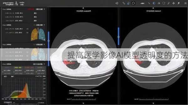 提高医学影像AI模型透明度的方法