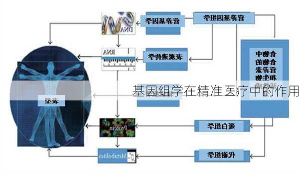 基因组学在精准医疗中的作用