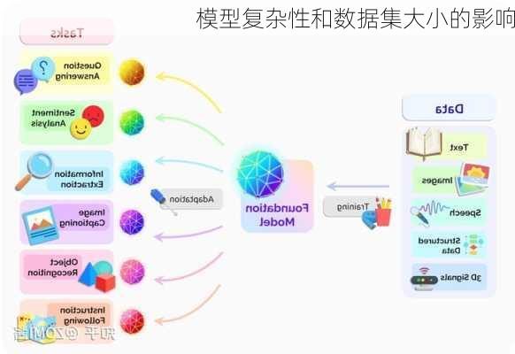 模型复杂性和数据集大小的影响