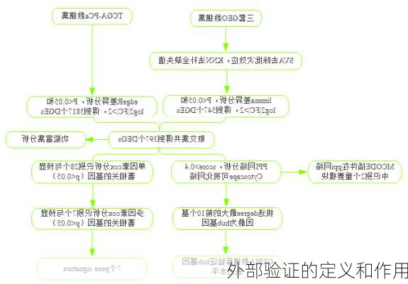 外部验证的定义和作用