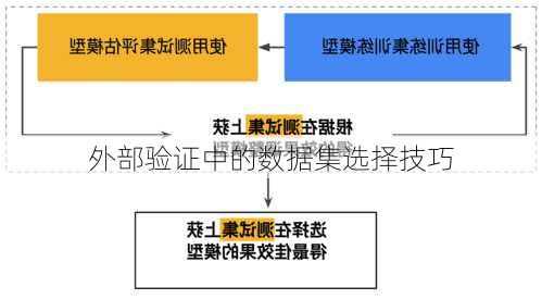 外部验证中的数据集选择技巧