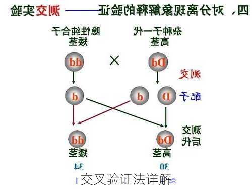 交叉验证法详解