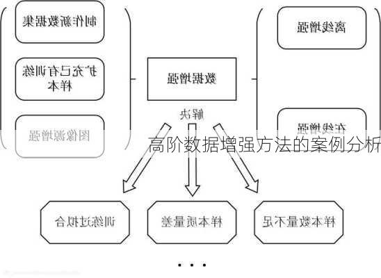 高阶数据增强方法的案例分析