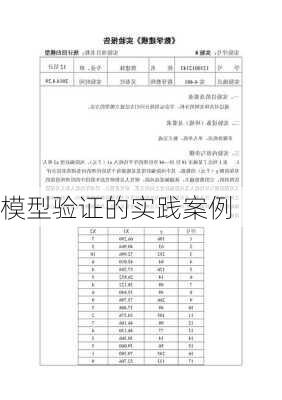 模型验证的实践案例