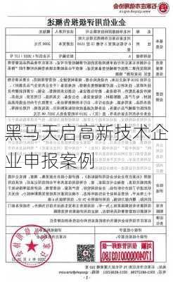 黑马天启高新技术企业申报案例