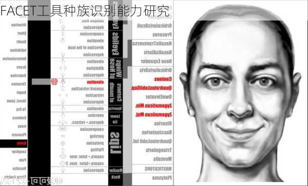 FACET工具种族识别能力研究