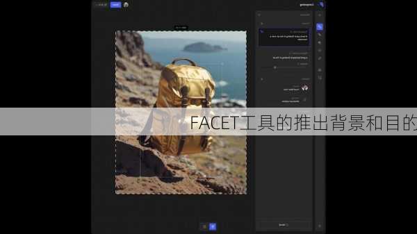 FACET工具的推出背景和目的