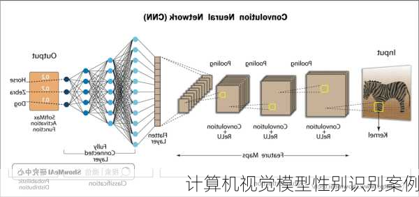 计算机视觉模型性别识别案例